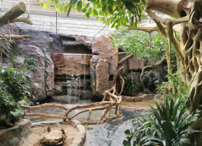 主题公园的历史与发展